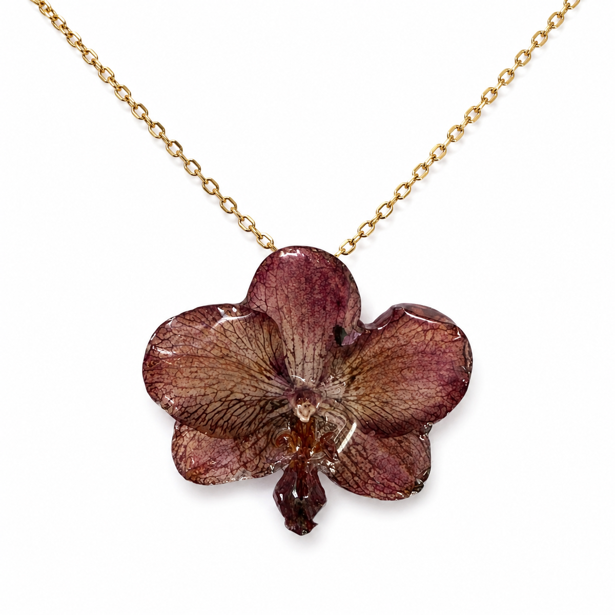 Collar Sole – Orquídea preservada
