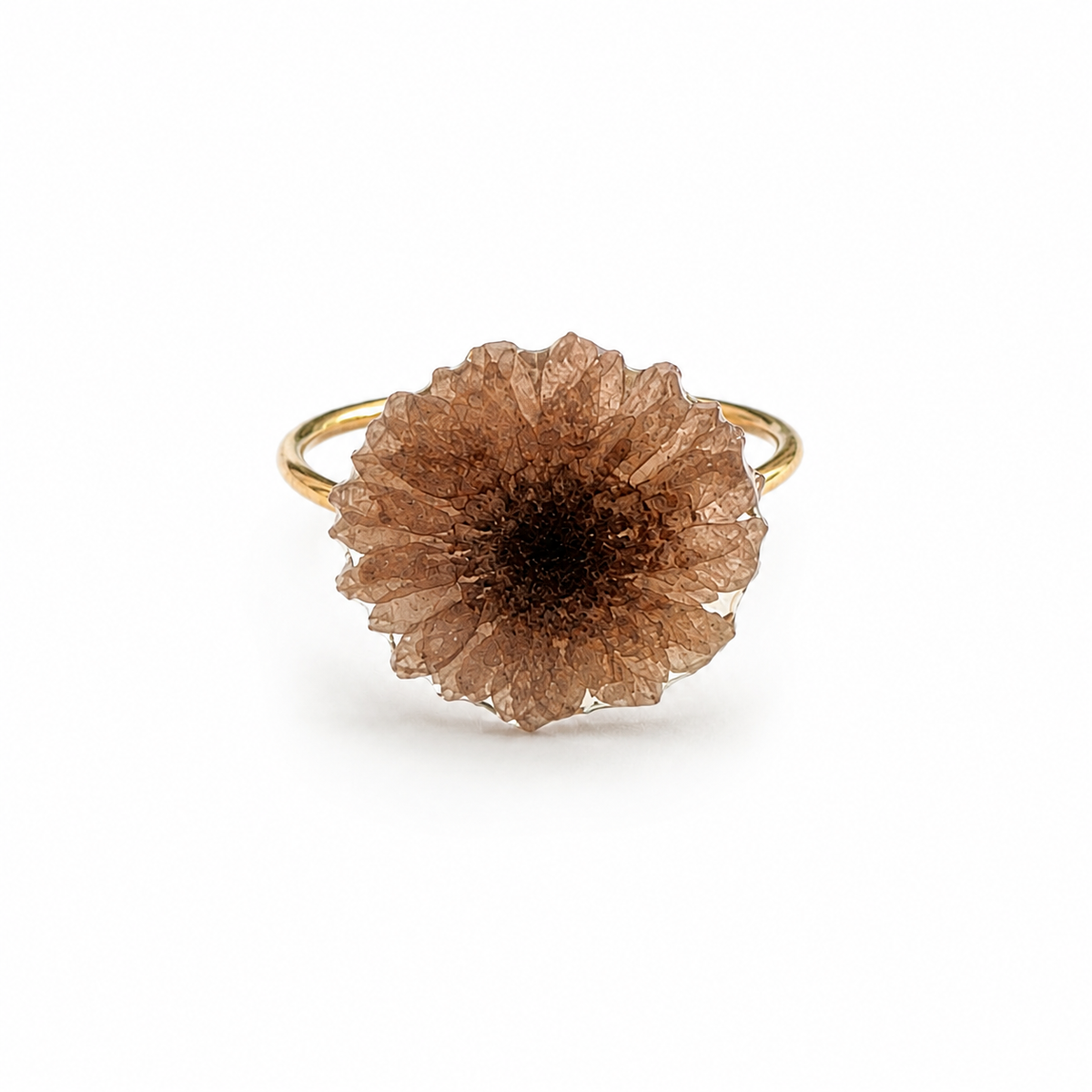 Anillo Aixa - Flor preservada