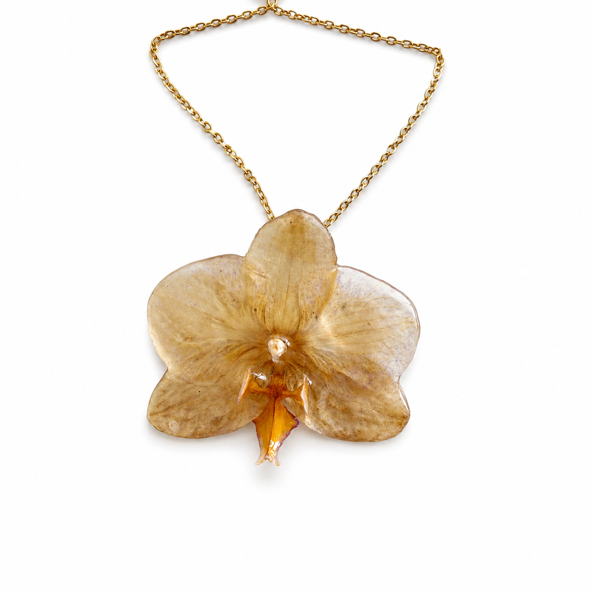 Collar Aurora - Orquídea preservada