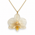 Collar Blanco Miel · Orquídea preservada