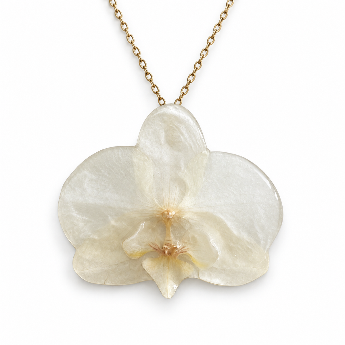 Collar Marfil Puro · Orquídea preservada