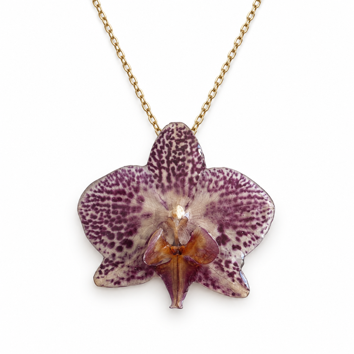 Collar Púrpura Salvaje · Orquídea preservada
