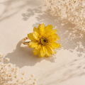 Anillo Flor Eterna · Sol