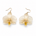 Pendientes Marfil - Orquídea preservada