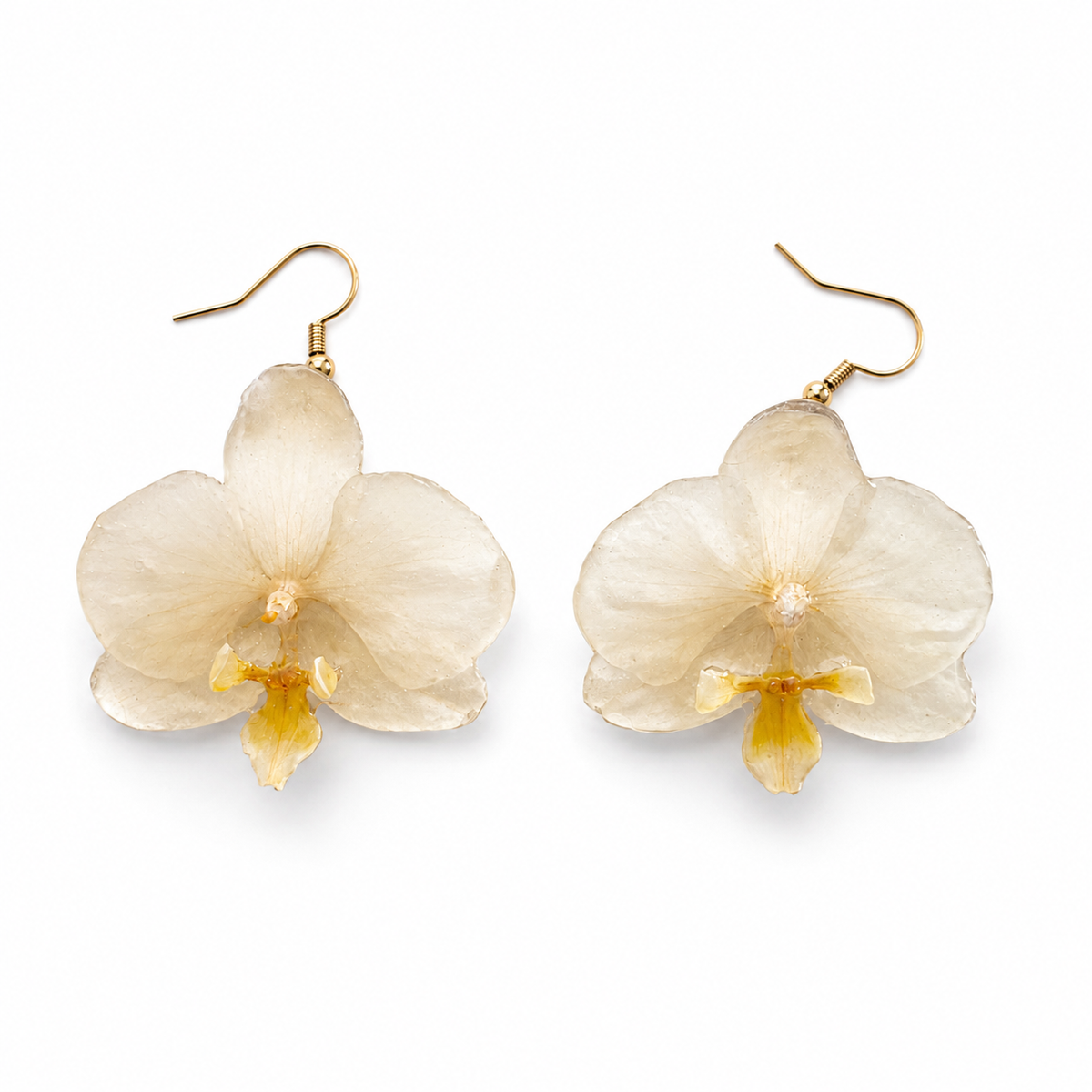 Pendientes Marfil - Orquídea preservada