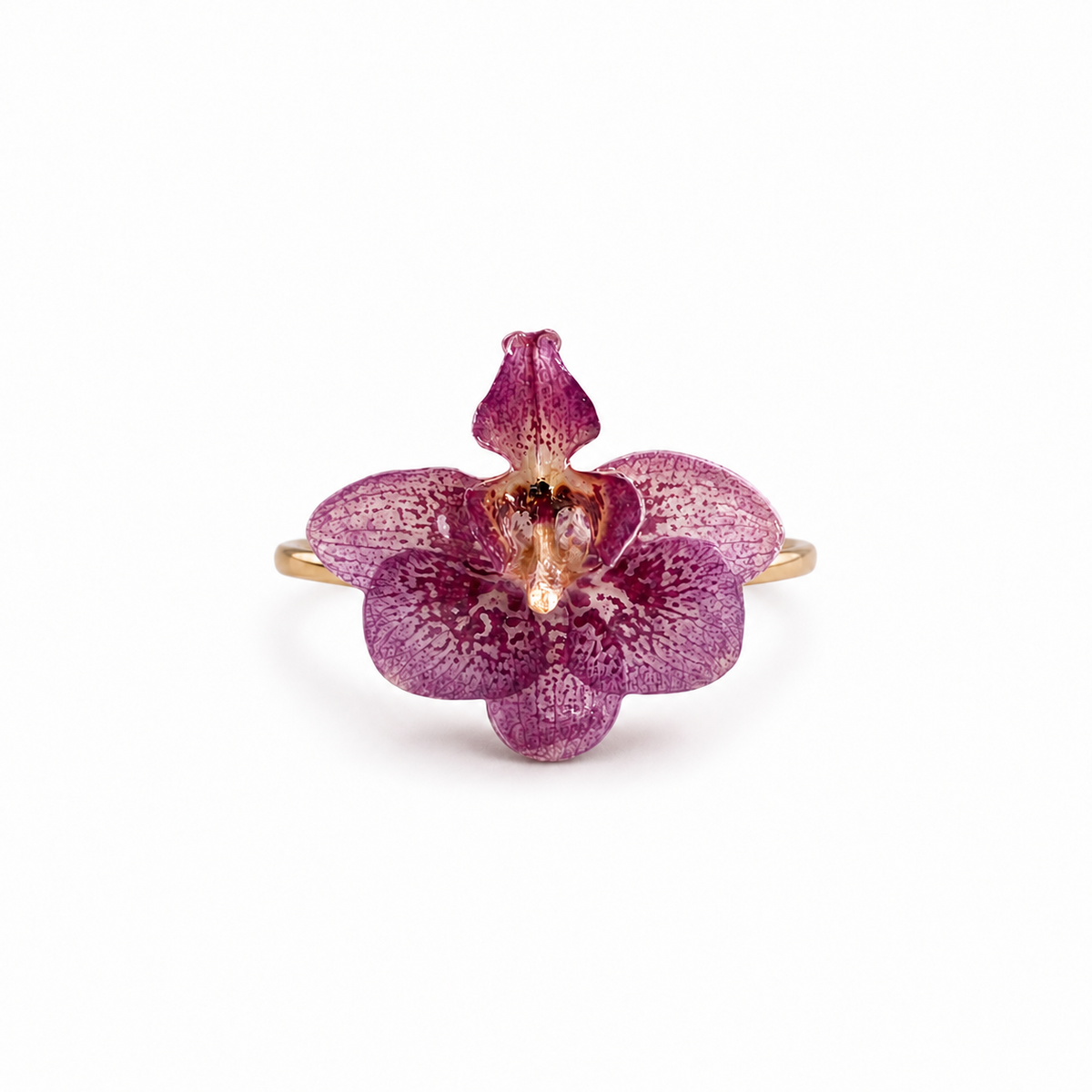Anillo Iris - Orquídea preservada