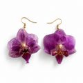 Pendientes Malva - Orquídea preservada