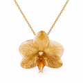 Collar Aurora - Orquídea preservada