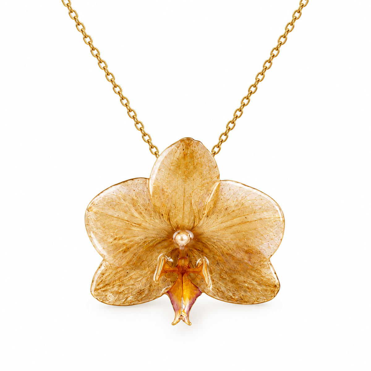 Collar Aurora - Orquídea preservada