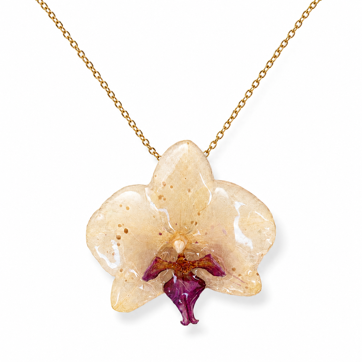 Collar Jimena – Orquídea preservada