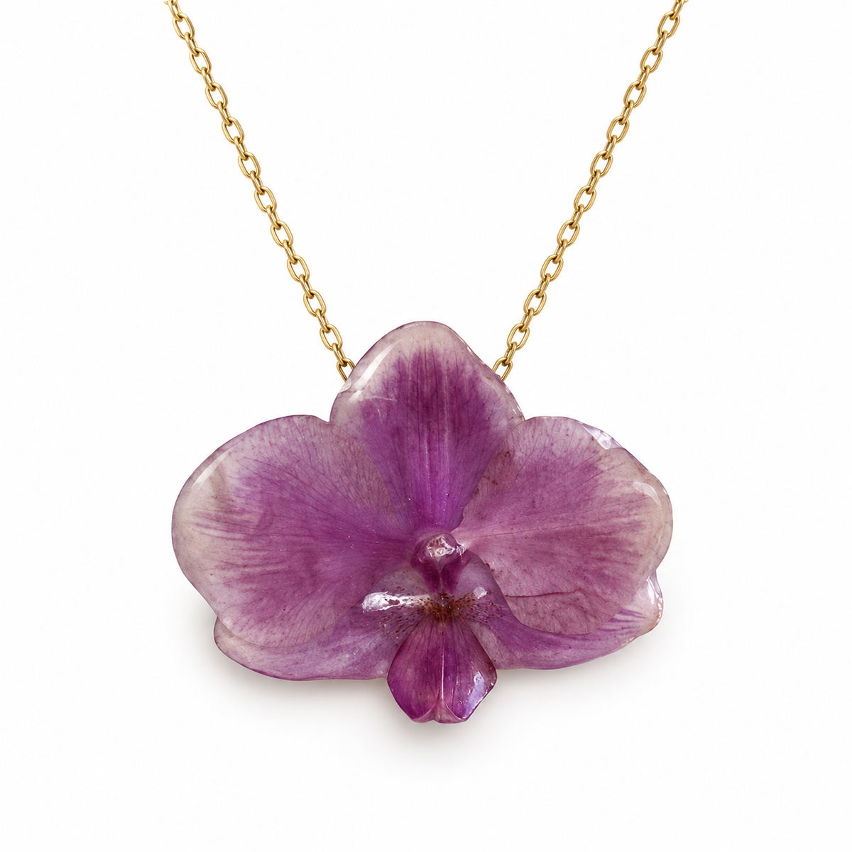 Collar Magenta · Orquídea preservada