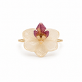 Anillo Jimena – Orquídea preservada