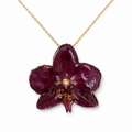 Collar Mora – Orquídea preservada