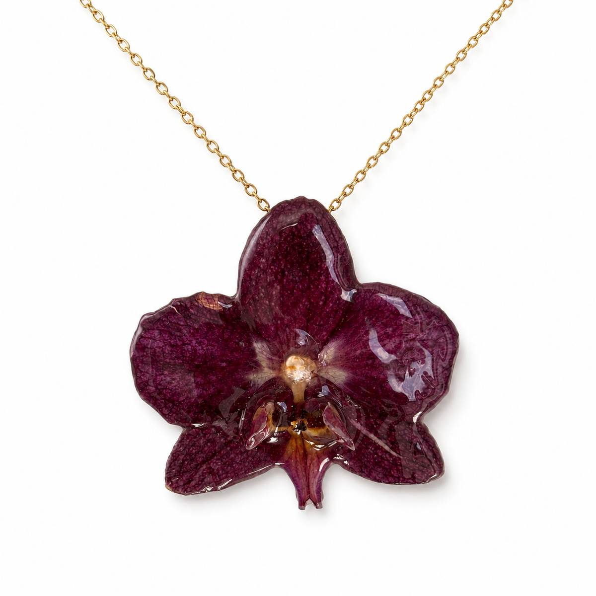 Collar Mora – Orquídea preservada