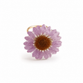 Anillo Zoraida - Flor preservada
