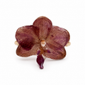 Anillo Sole – Orquídea preservada