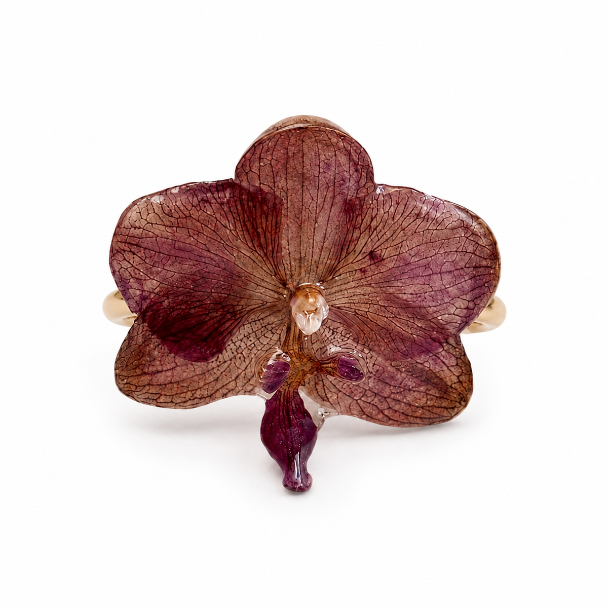 Anillo Sole – Orquídea preservada
